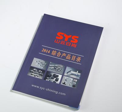 设计画册印刷产品说明书彩页宣传图册样定制logo 印刷厂家图片_高清图_细节图